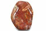 Free-Standing, Polished Petrified Wood - Madagascar #271810-1